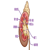21112839umxFn5.png