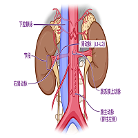 21112840y43myF.png
