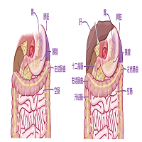 2111283687cnSZ.png