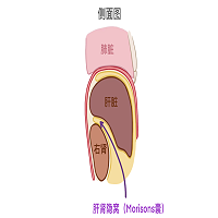 21112837Q3Kp3V.png