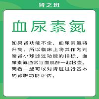 肾功能三指标2.jpg