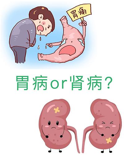 胃病与肾病.jpg