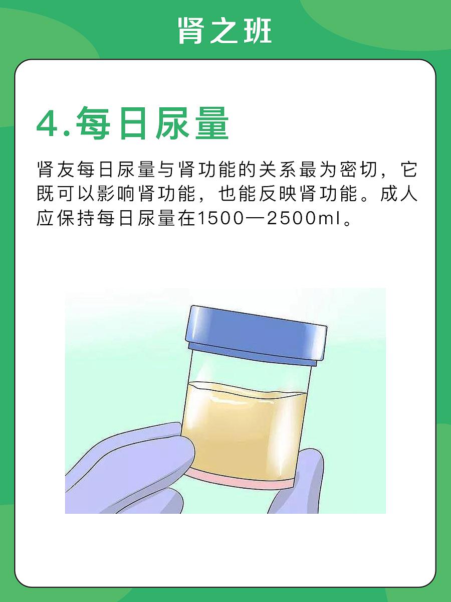 肾友关注身体5个指标4.jpg